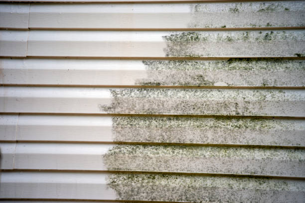 Best Carpet Removal and Disposal  in Hammond, WI